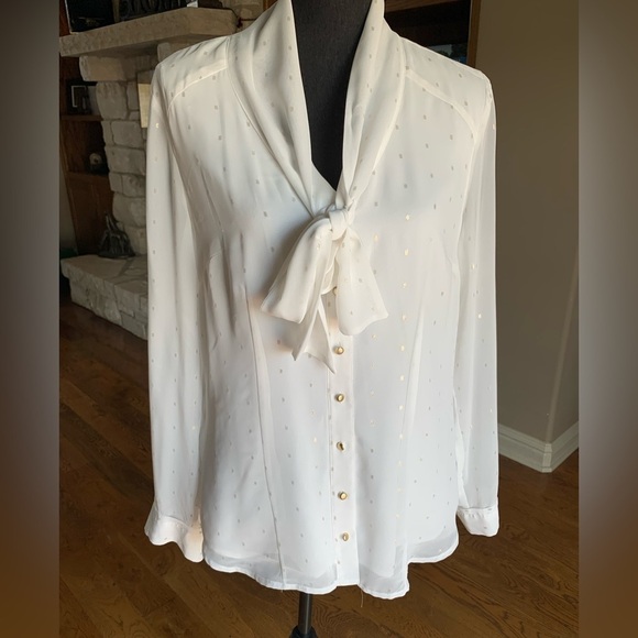 Coldwater‎ Creek Ivory Chiffon Button Down Shirt - Picture 1 of 11